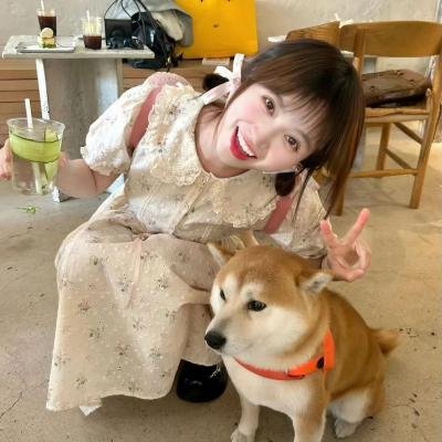 迷失内华达